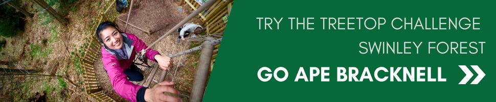 Go Ape Fun in Swinley Forest, Bracknell